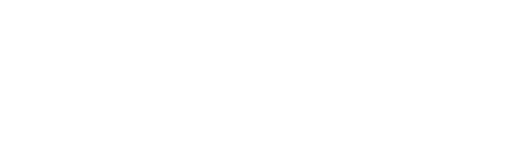 Boehringer Ingelheim Icon