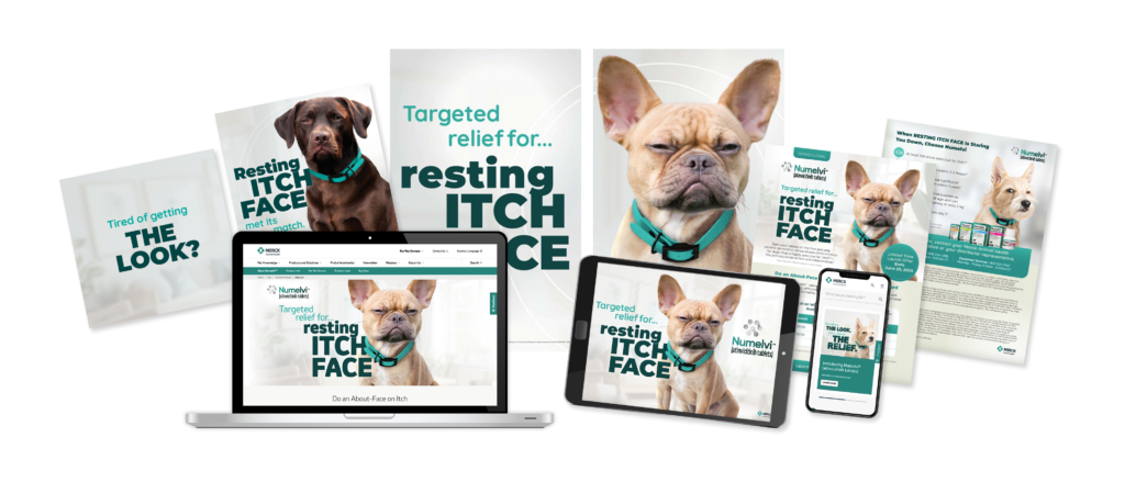 Resting Itch Face Numelvi Animal Health Case Study