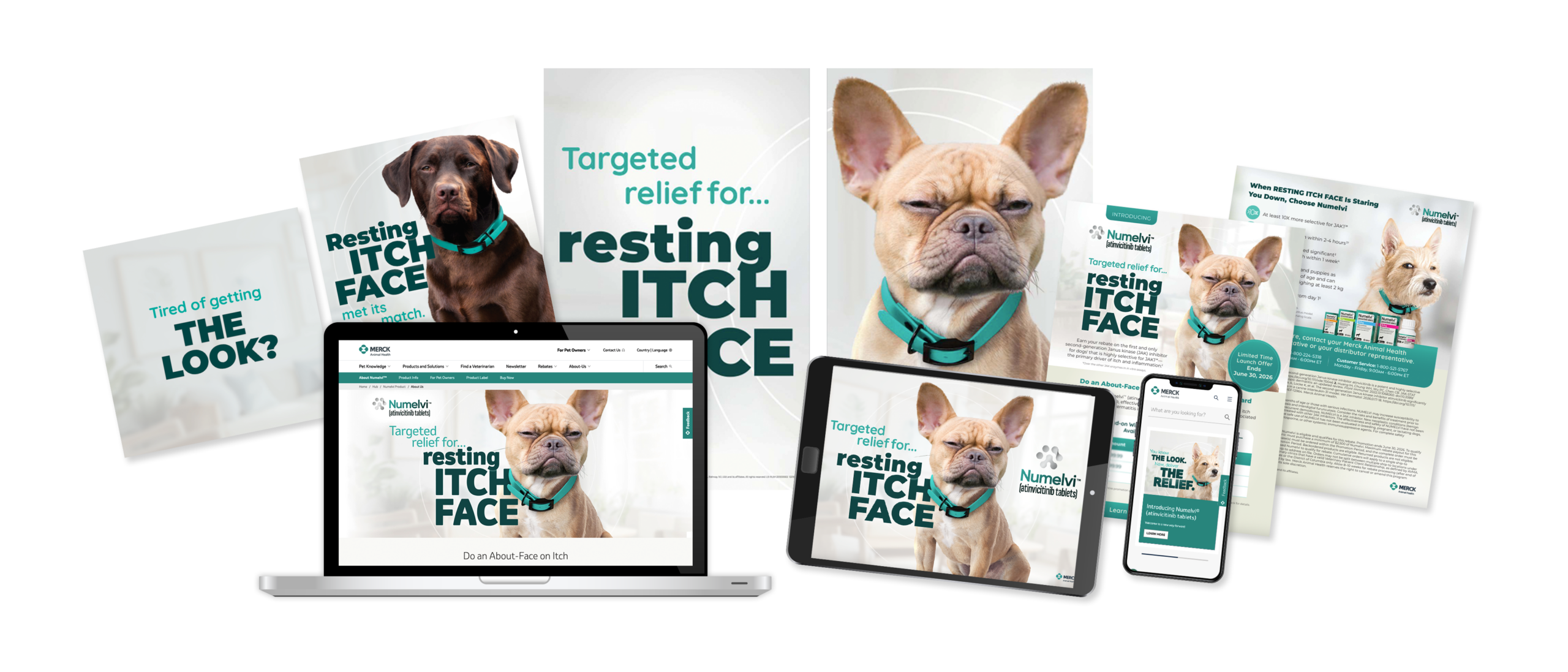 Resting Itch Face Numelvi Animal Health Case Study