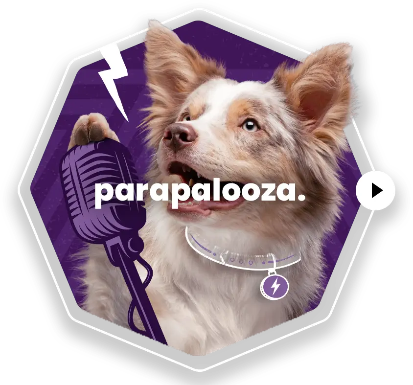 Parapalooza Circa Healthcare Campaign