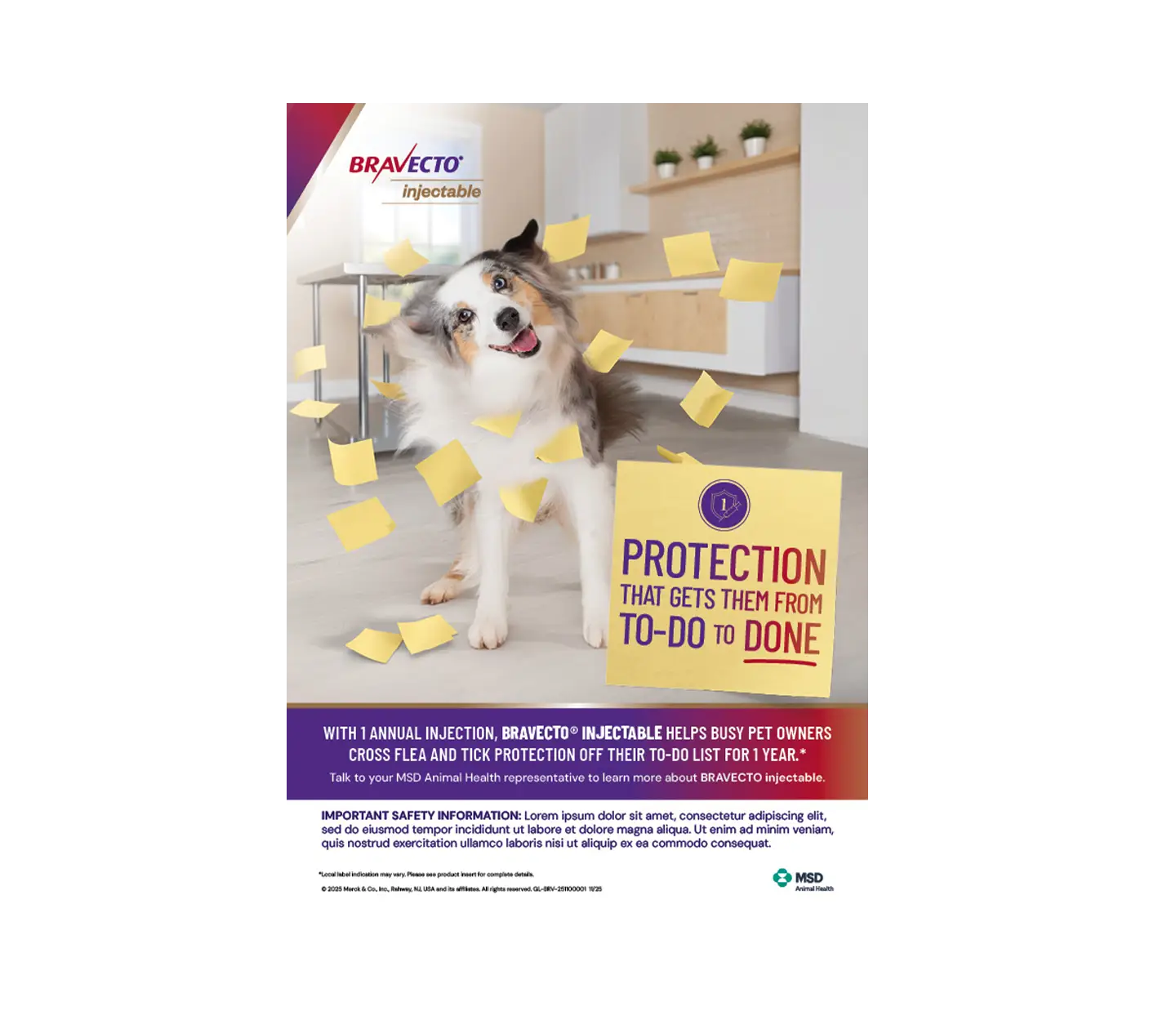 Print and digital advertising