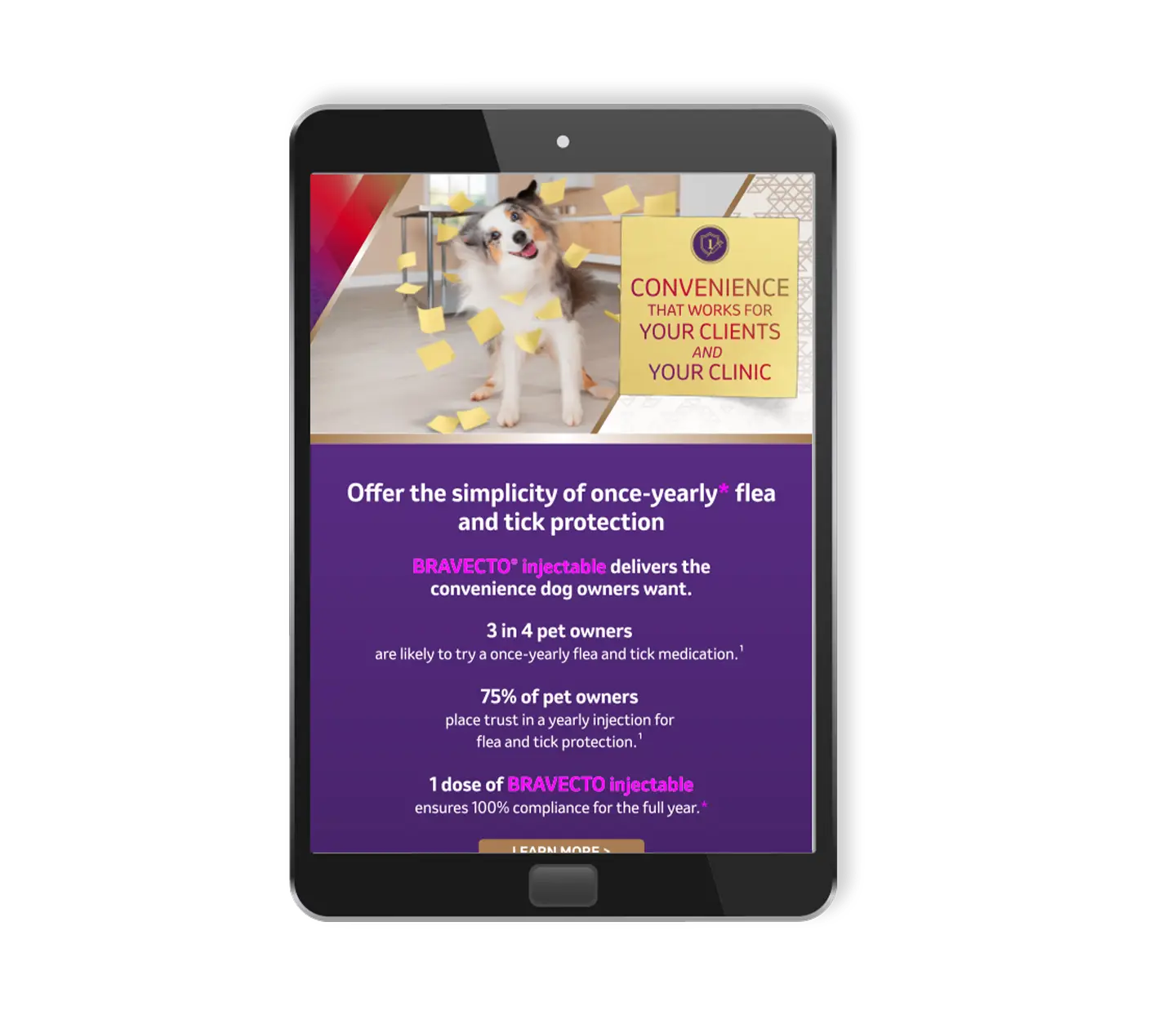 Veterinary email campaign