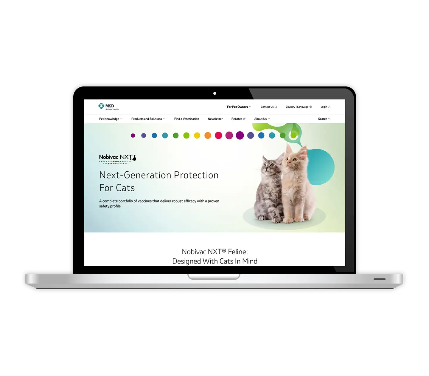 Website