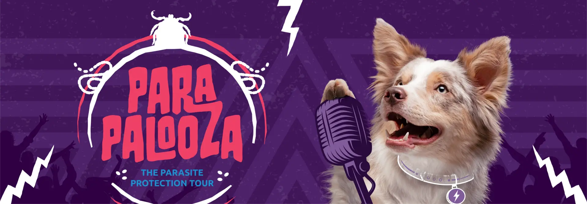 Parapalooza Animal Health Case Study