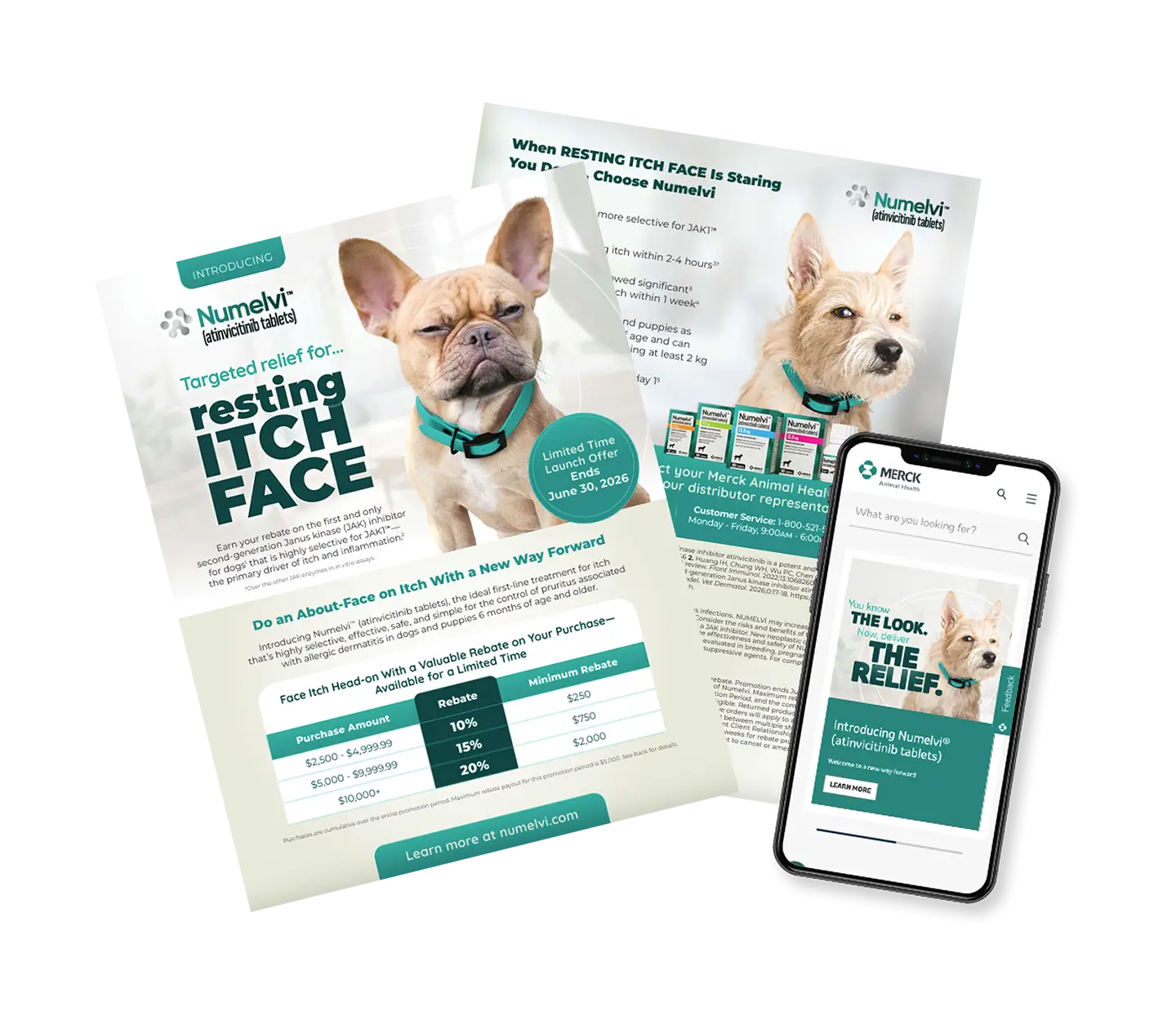 Print and digital media assets