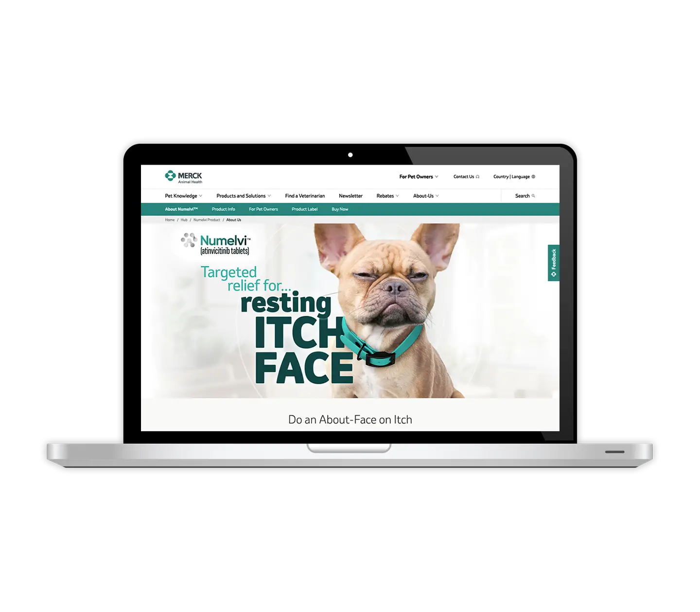 Veterinary website